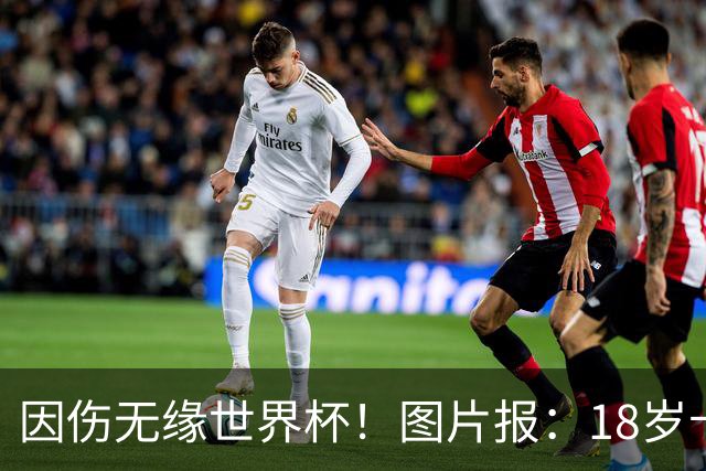 因伤无缘世界杯！图片报：18岁卡尔已乘机返回德国，他显然很失望